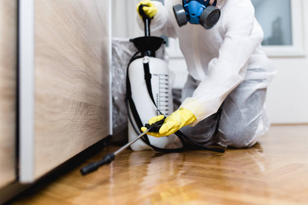 Best Rat Extermination Near Me  in Merrionette Park, IL