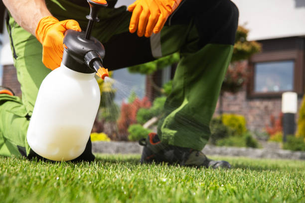 Best Emergency Pest Control  in Merrionette Park, IL
