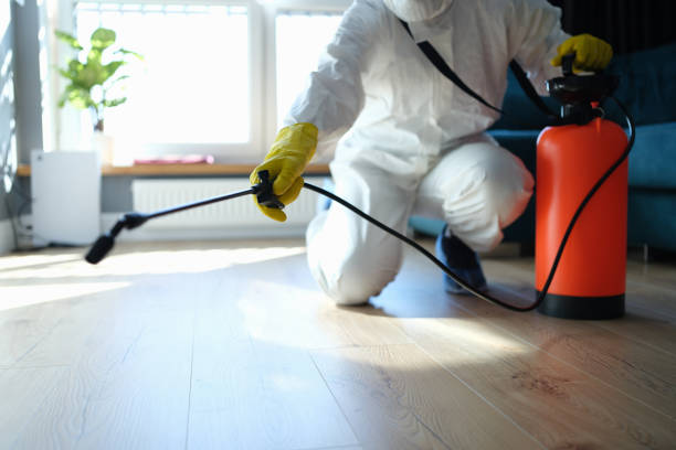 Best Mosquito Control Services  in Merrionette Park, IL