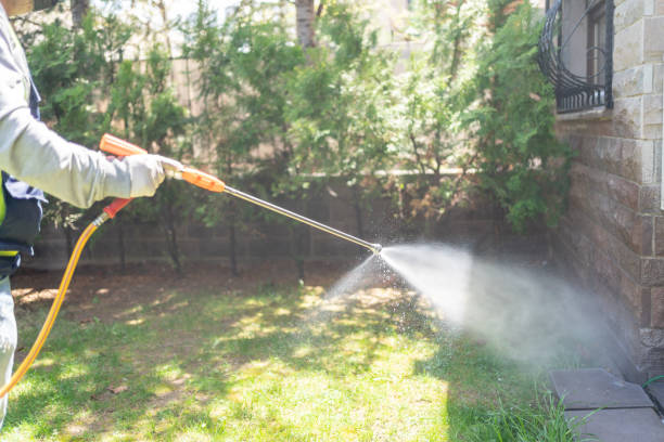 Best Termite Control Services  in Merrionette Park, IL