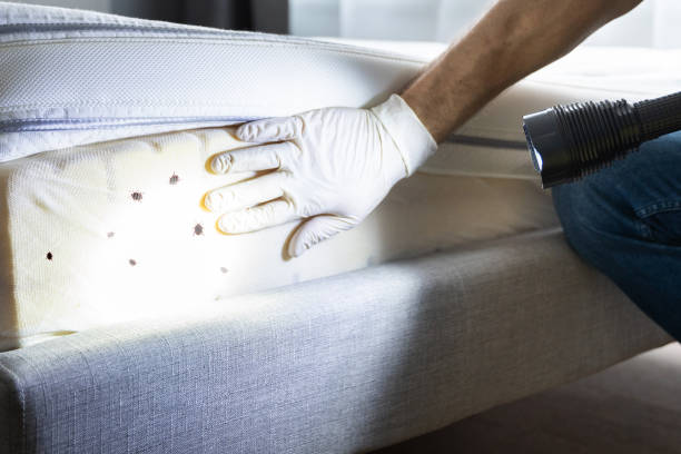 Best Pest Removal Services  in Merrionette Park, IL