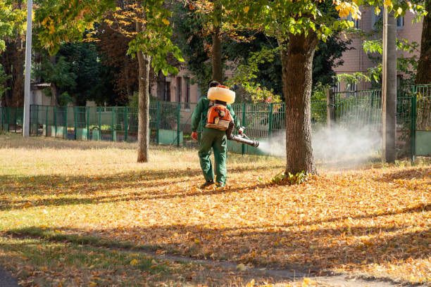 Wasp Removal Services in Merrionette Park, IL