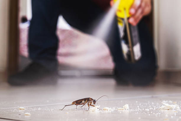 Best Best Pest Control Near Me  in Merrionette Park, IL
